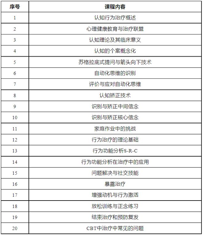 爱游戏心境商榷根本本事与认知行动医治培训项目首期培训凯旋举办(图11)